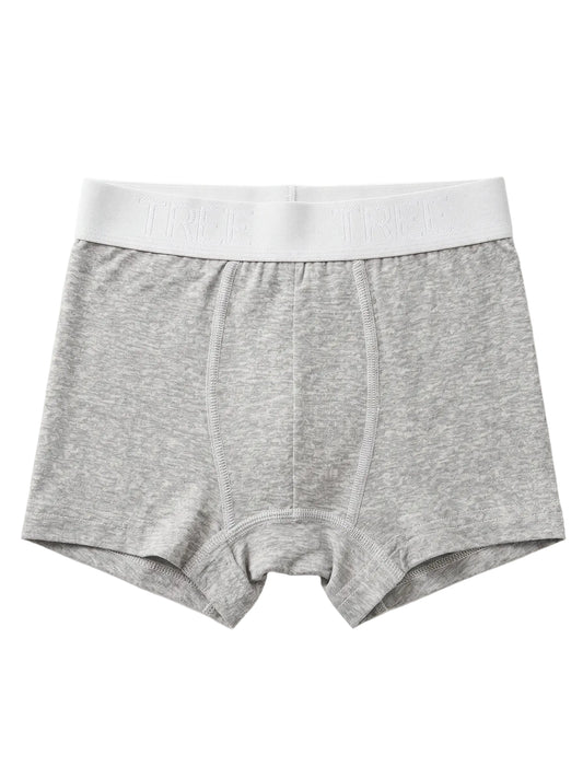 Front view of men's grey melange cotton-lycra boxer briefs featuring an elastic logo waistband by TREE.