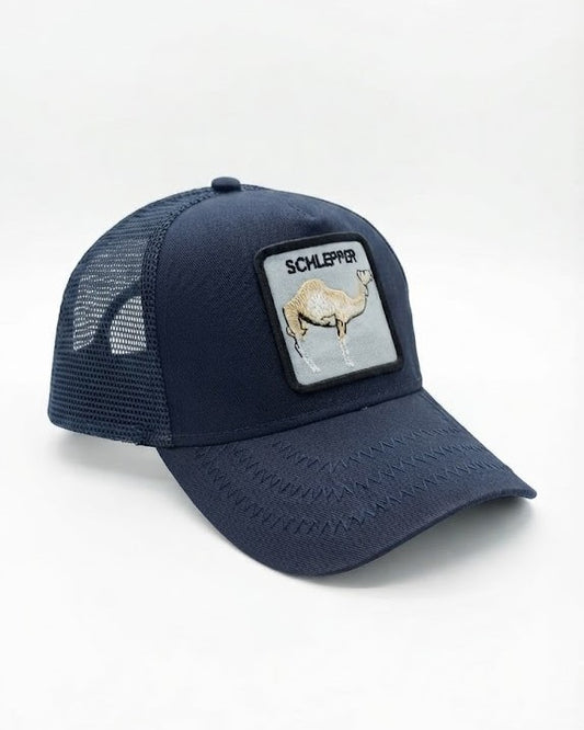 Men's embroidered mesh cap