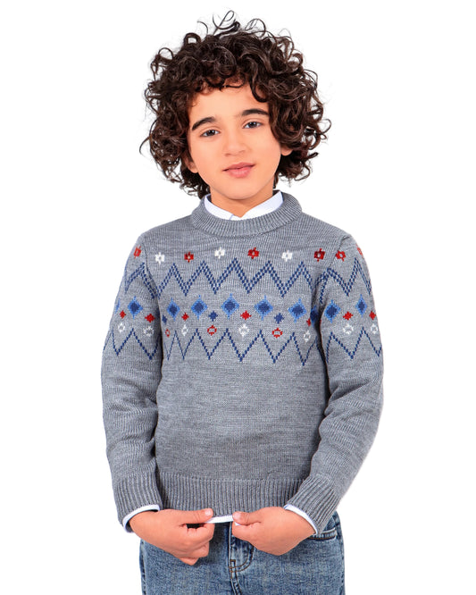 Boy's fashion knit patterned crewneck pullover by TREE