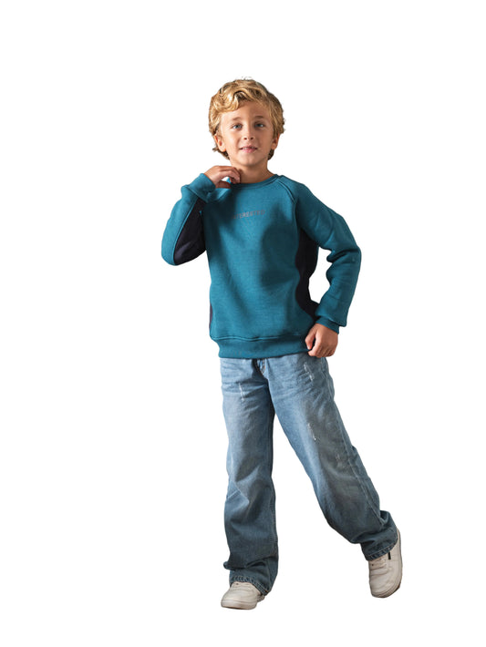 Boy's janzari printed crewneck sweatshirt by TREE