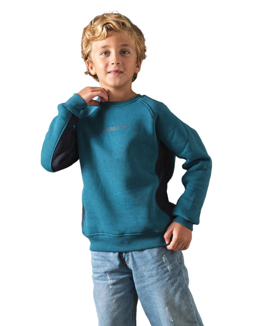 Boy's janzari printed crewneck sweatshirt by TREE