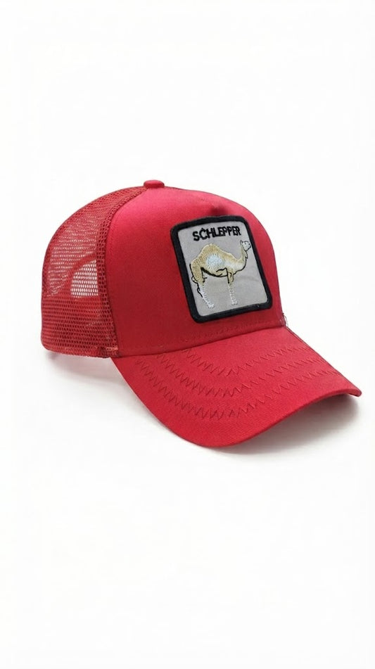 Men's embroidered mesh cap