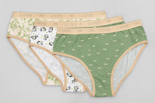 Women`s Underwear Brife - 3 pieces