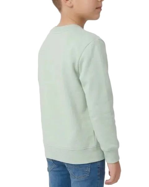 Boys' printed crewneck sweatshirt - TREE