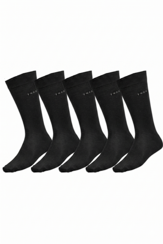 Men's Socks Classic 5 psc Black (39-42)