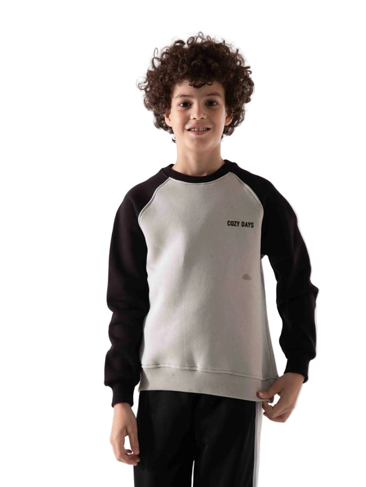Boys' printed crewneck sweatshirt - TREE