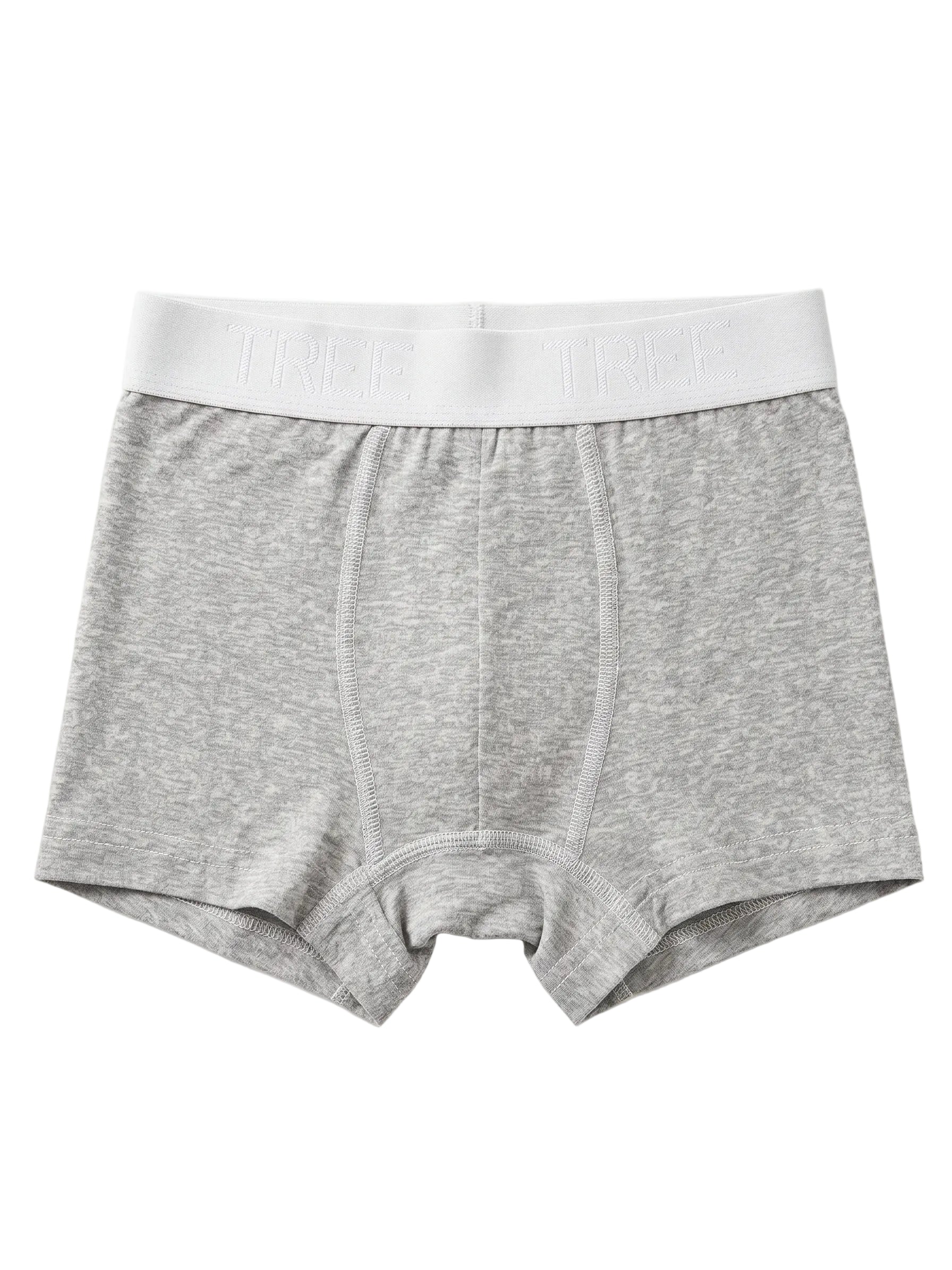 Front view of men's grey melange cotton-lycra boxer briefs featuring an elastic logo waistband by TREE.