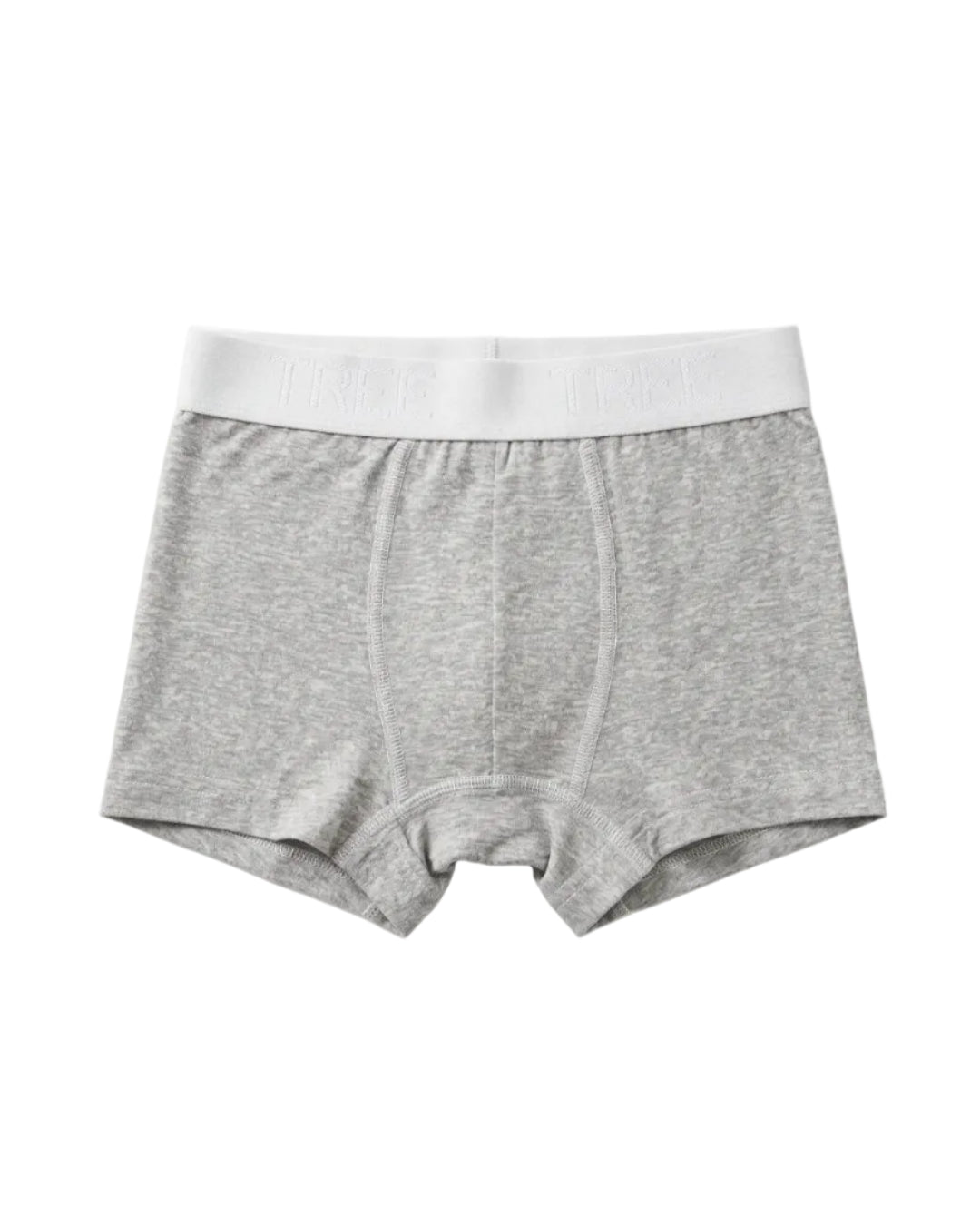 Front view of kids' grey melange cotton-lycra boxer briefs featuring an elastic logo waistband by TREE.