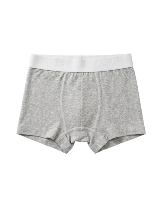 Front view of kids' grey melange cotton-lycra boxer briefs featuring an elastic logo waistband by TREE.