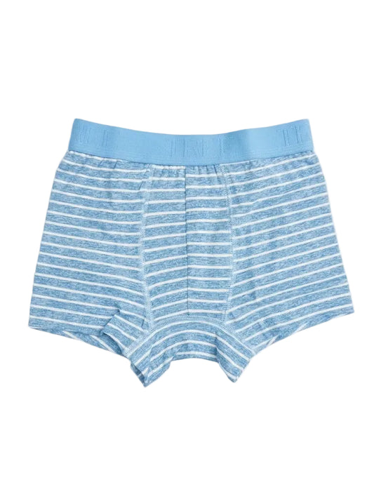 Front view of men's striped cotton-lycra boxer briefs featuring an elastic waistband by TREE.