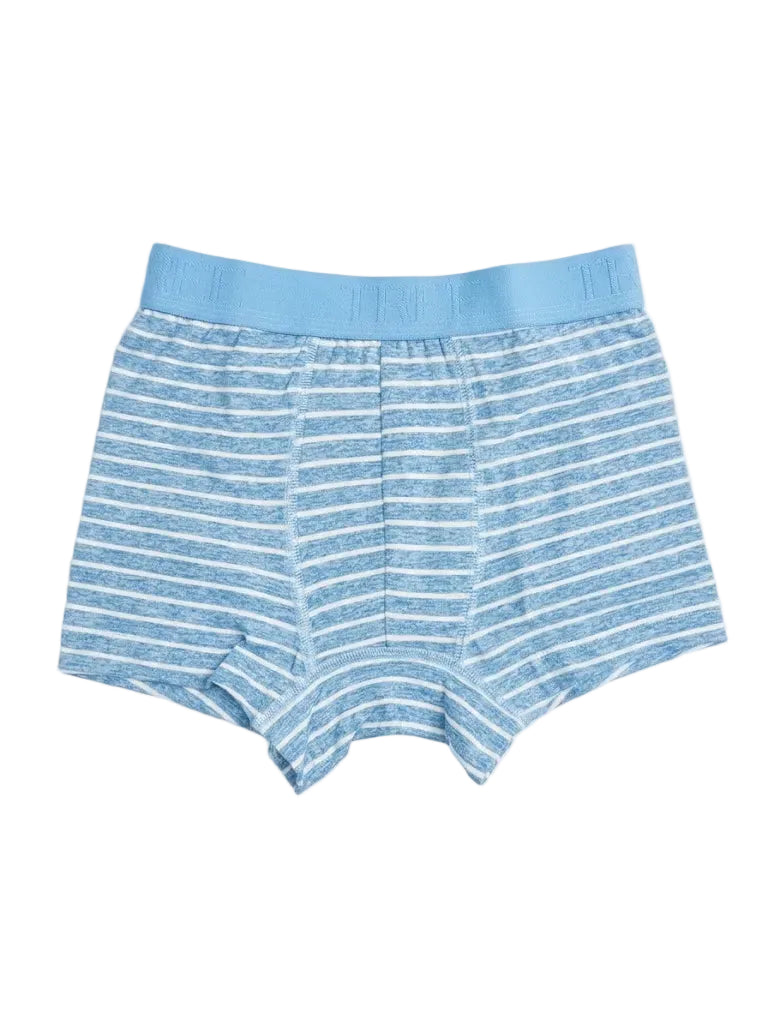 Front view of kids' striped cotton-lycra boxer briefs featuring an elastic waistband by TREE.