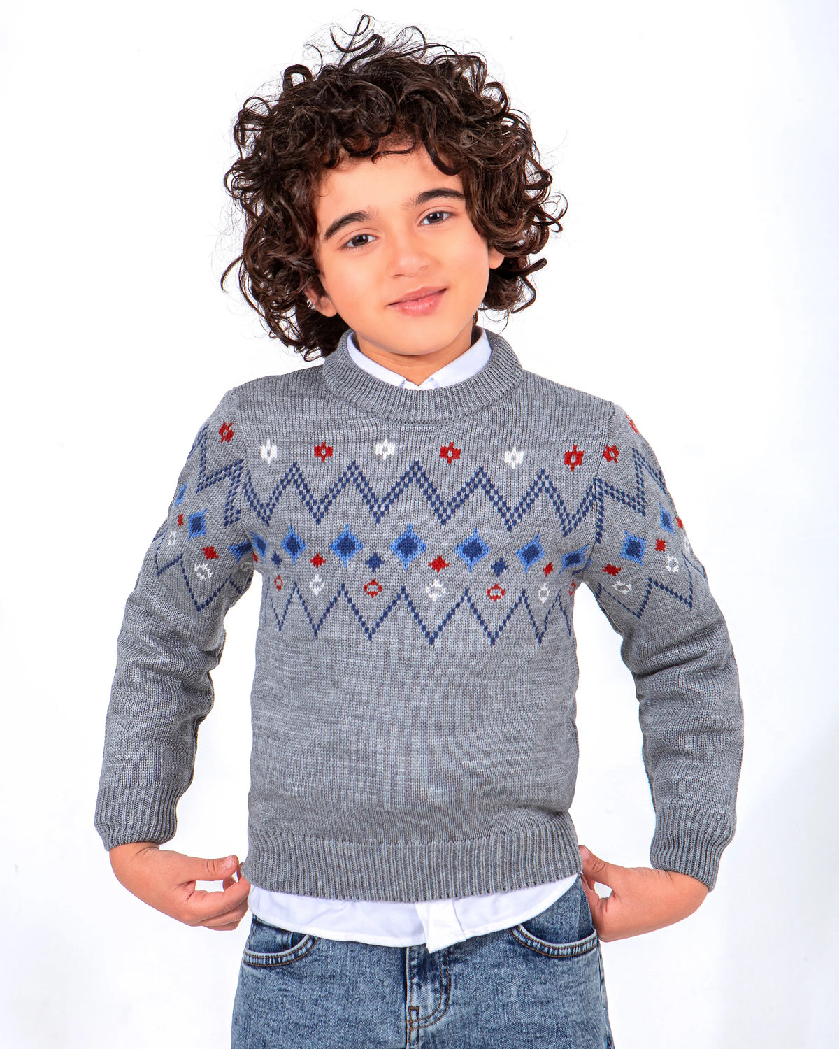 Boy's fashion knit patterned crewneck pullover by TREE   