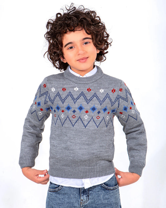 Boy's fashion knit patterned crewneck pullover by TREE   
