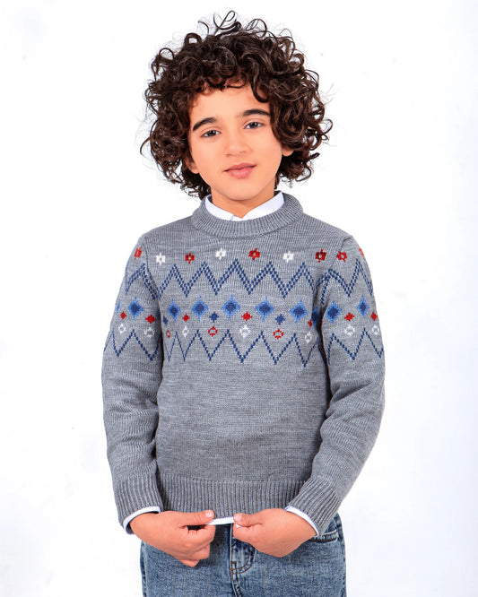 Boy's fashion knit patterned crewneck pullover by TREE   
