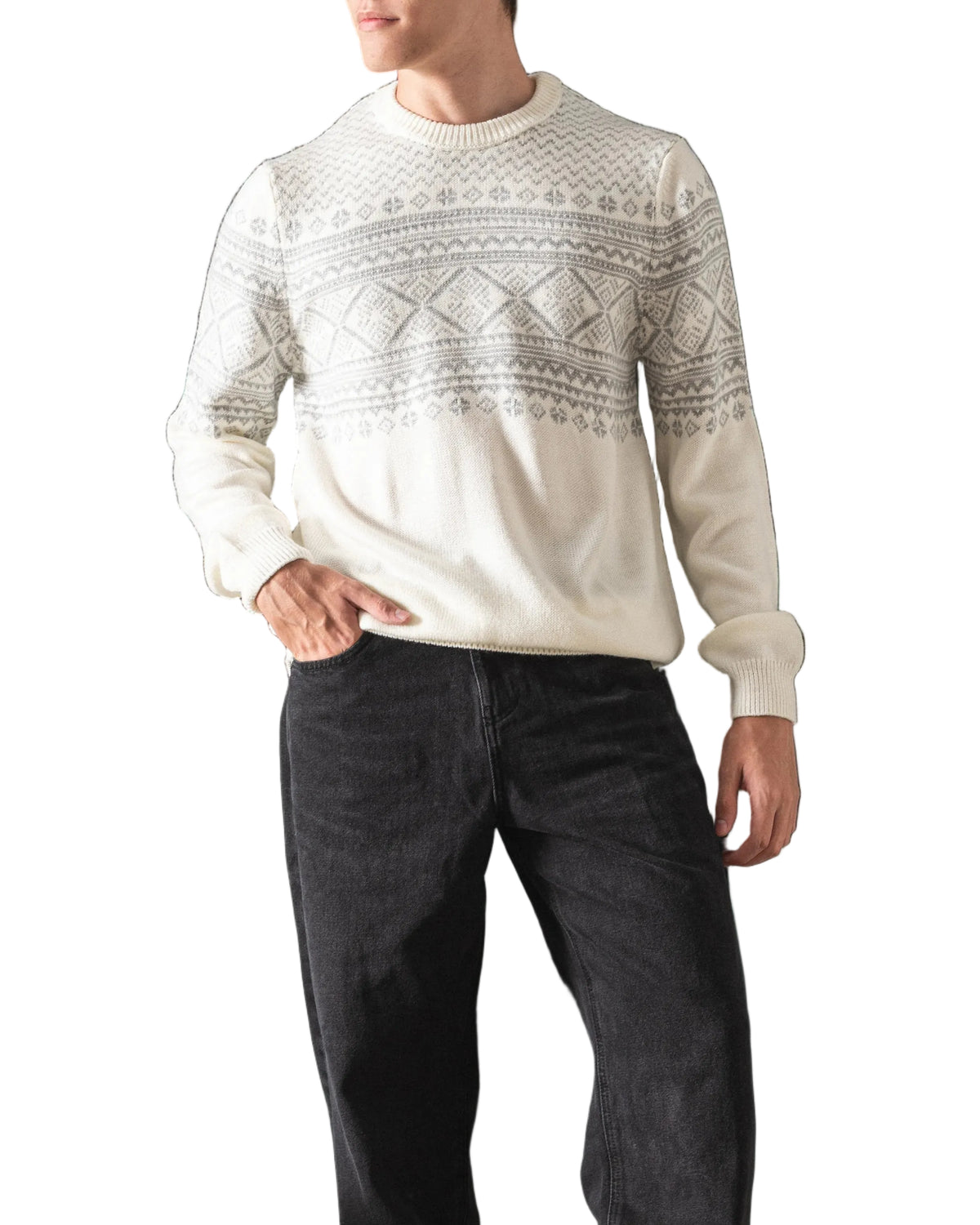 Men's fashion knit patterned crewneck pullover by TREE   