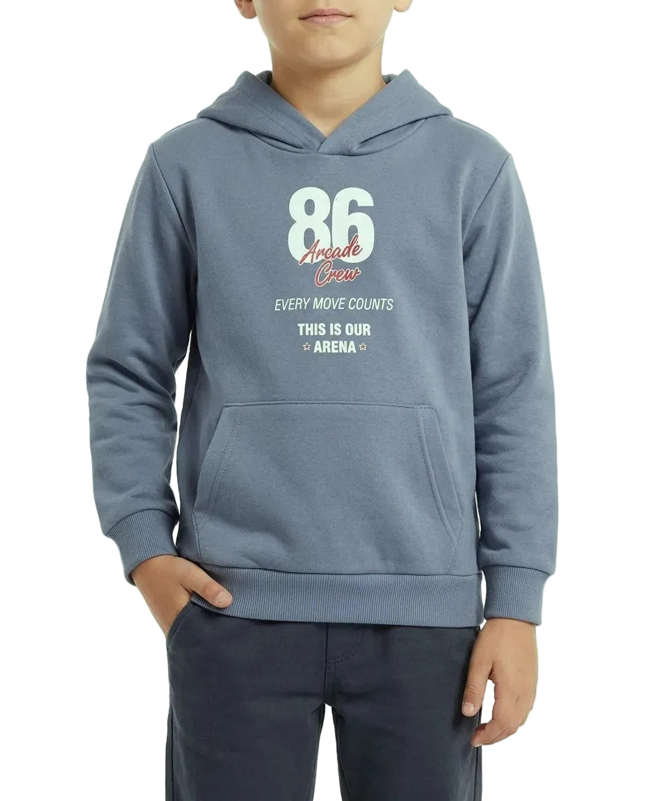 Boys' light grey printed hoodie with front pocket by TREE   