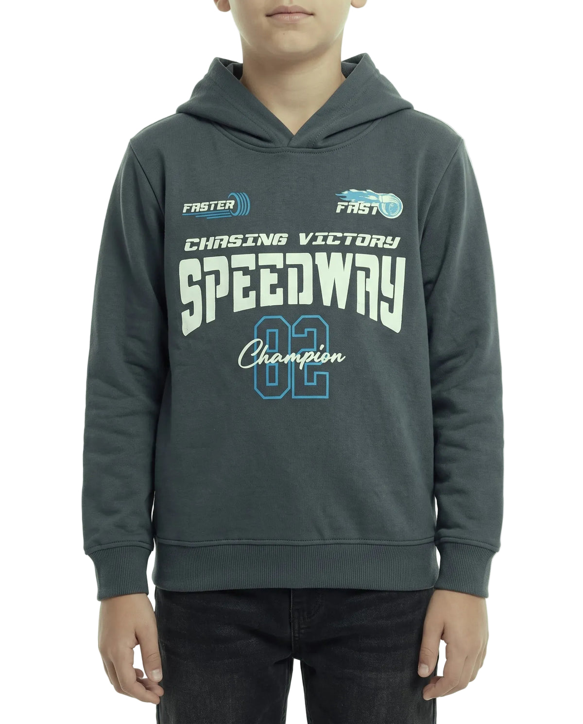 Boys' dark grey printed hoodie with speedway graphic by TREE   