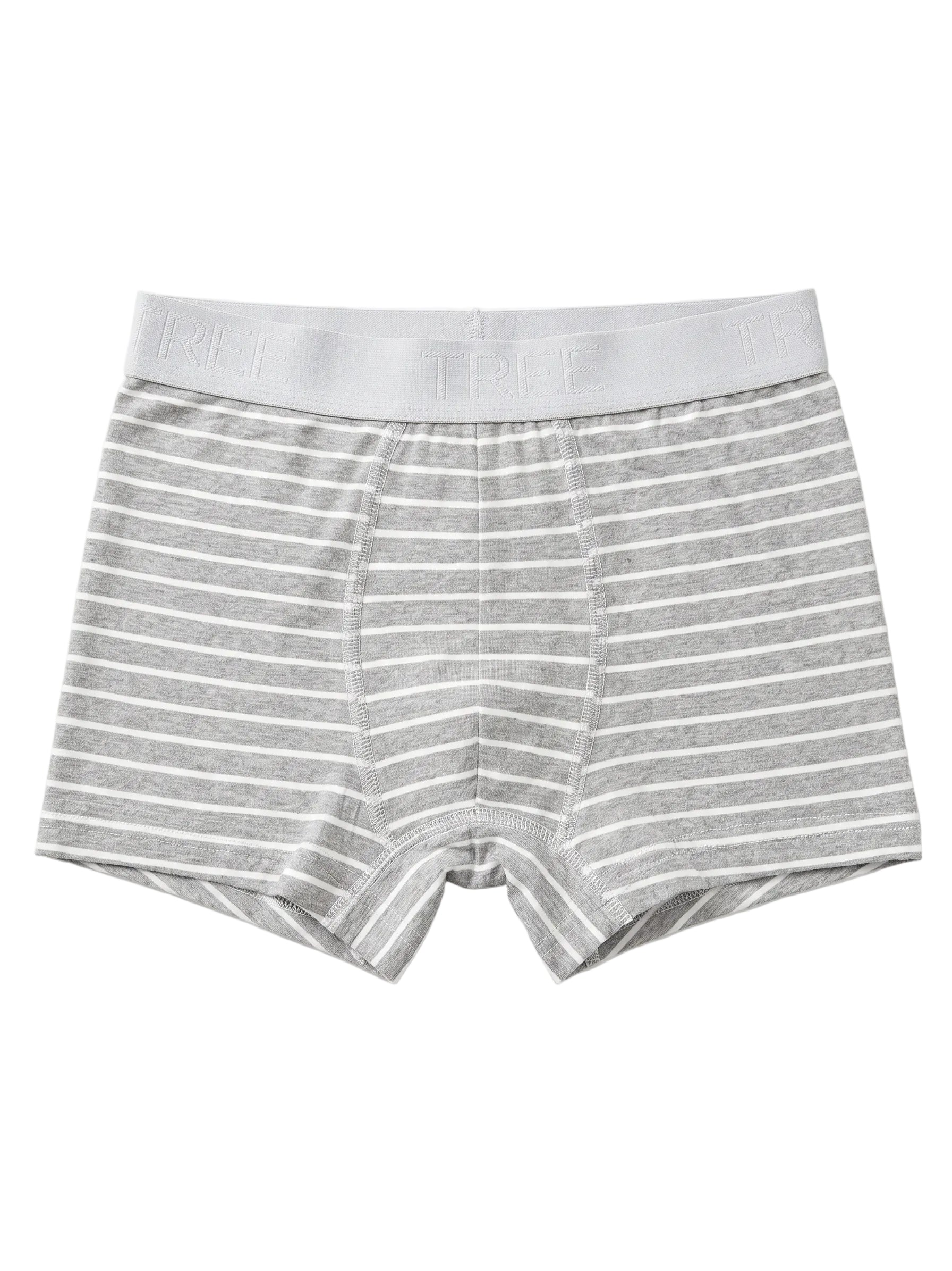 Front view of kids' grey striped cotton-lycra boxer briefs featuring an elastic logo waistband by TREE
