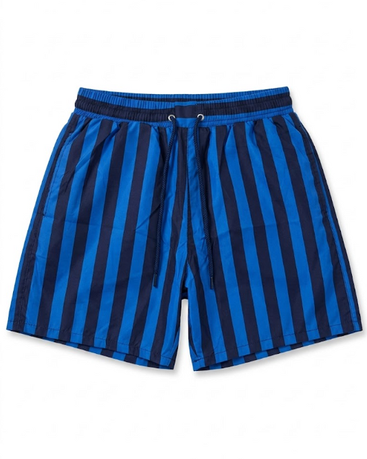 Men's Striped Swim Shorts - Navy & Blue