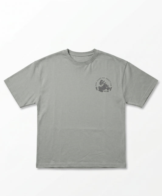 Boy`s Printed T-Shirt – Over Size-Short Sleeve- Mint