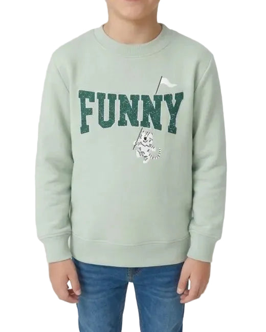 Boys' printed crewneck sweatshirt - TREE