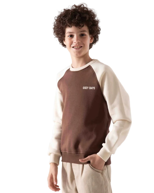 Boys' Crewneck Sweatshirt Brown & Beige