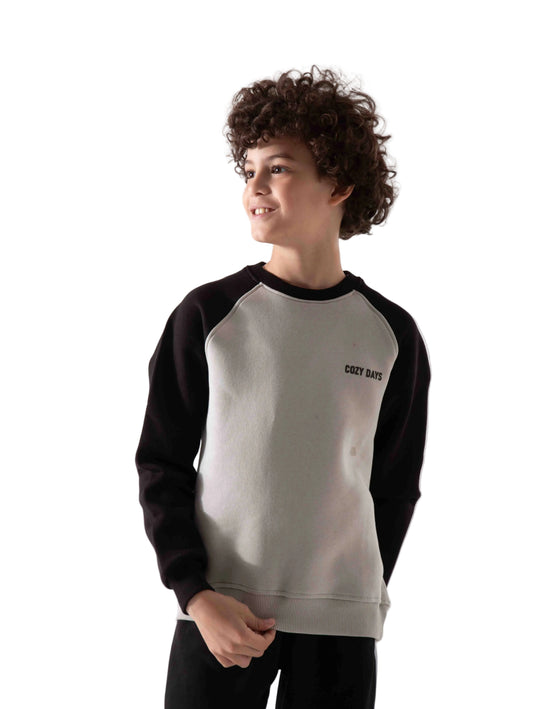 Boys' printed crewneck sweatshirt - TREE