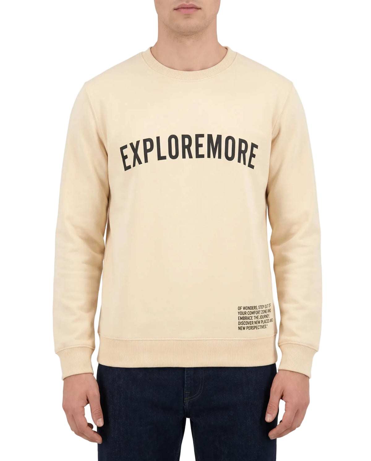 Men's printed crewneck sweatshirt beige - TREE